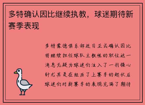 多特确认因比继续执教，球迷期待新赛季表现